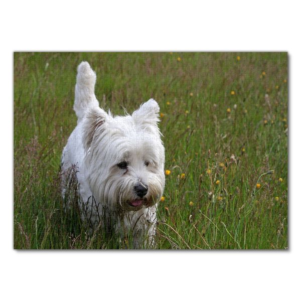 Produktbild: Lais Puzzle Westie 1000 Teile