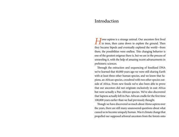 Produktbild: A Pocket History of Human Evolution