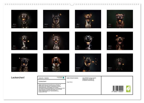 Produktbild: Leckerchen! (hochwertiger Premium Wandkalender 2026 DIN A2 quer), Kunstdruck in Hochglanz