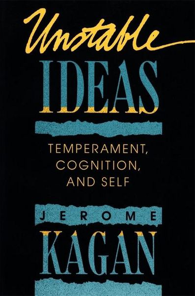 Produktbild: Unstable Ideas