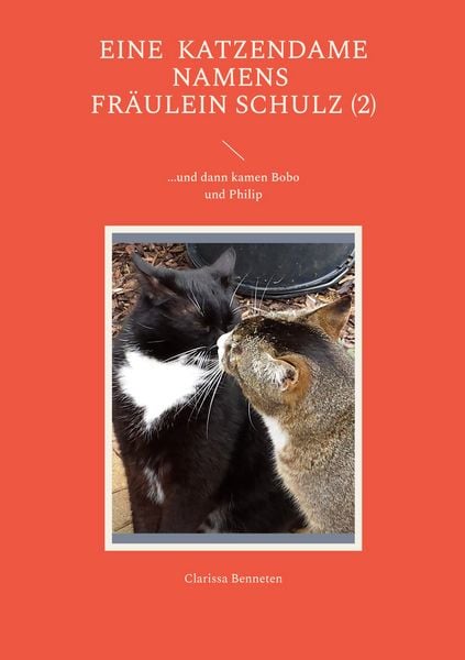 Produktbild: Eine Katzendame namens Fr&auml;ulein Schulz (2)