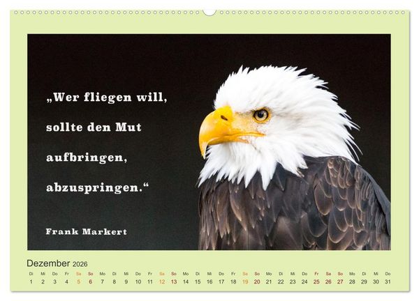 Produktbild: Co-Kreation, Gemeinsam Wunder erschaffen (Wandkalender 2026 DIN A2 quer), CALVENDO Monatskalender