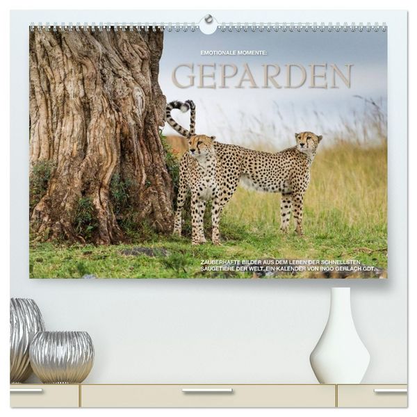 Produktbild: Emotionale Momente: Geparden (hochwertiger Premium Wandkalender 2026 DIN A2 quer), Kunstdruck in Hochglanz
