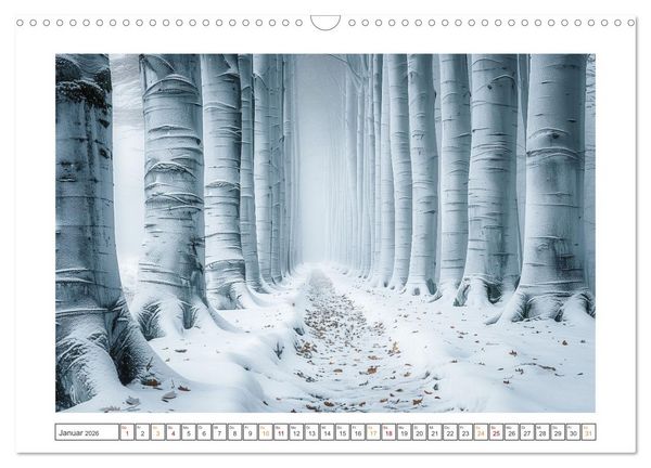Produktbild: Mystische Wege (Wandkalender 2026 DIN A3 quer), CALVENDO Monatskalender