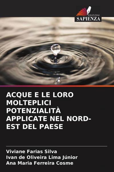 Produktbild: Acque E Le Loro Molteplici Potenzialit&agrave; Applicate Nel Nord-Est Del Paese