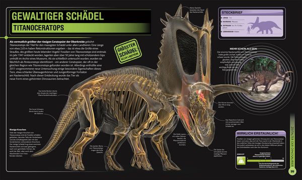 Produktbild: Super-Dinos