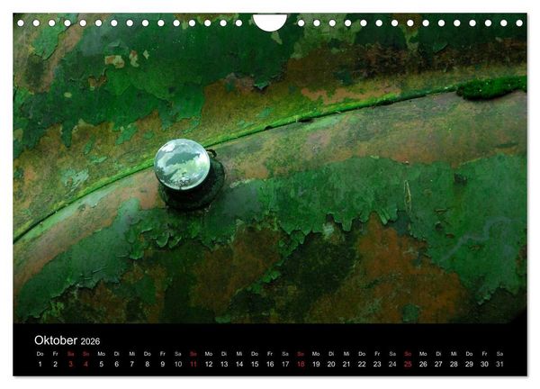 Produktbild: ROSTLAUBEN Die sch&ouml;nsten Autowracks (Wandkalender 2026 DIN A4 quer), CALVENDO Monatskalender