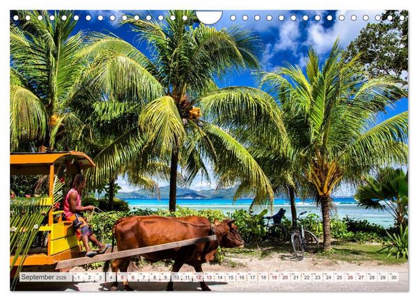 Produktbild: Die Seychellen - ganz nah am Paradies (Wandkalender 2026 DIN A4 quer), CALVENDO Monatskalender