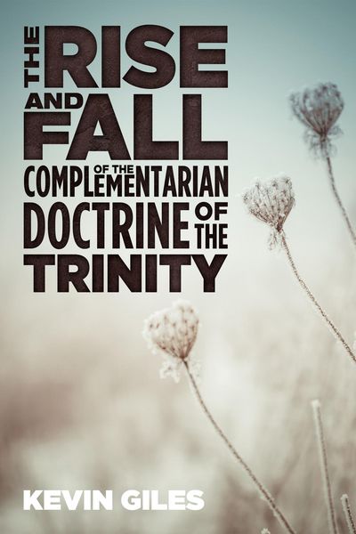 Produktbild: The Rise and Fall of the Complementarian Doctrine of the Trinity