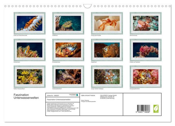 Produktbild: Faszination Unterwasserwelten (Wandkalender 2026 DIN A3 quer), CALVENDO Monatskalender