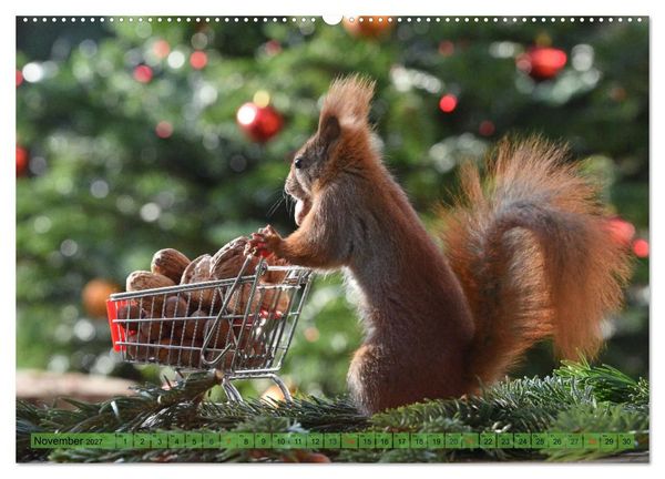 Produktbild: Eichh&ouml;rnchen-Spa&szlig; (hochwertiger Premium Wandkalender 2027 DIN A2 quer), Kunstdruck in Hochglanz
