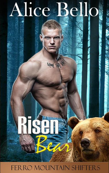 Produktbild: Risen Bear