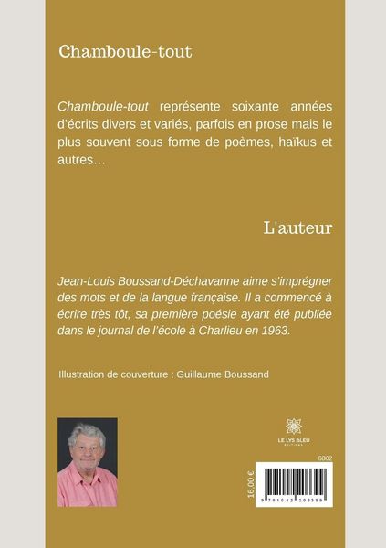 Produktbild: Jean-Louis Boussand-D&eacute;chavanne: Chamboule-tout