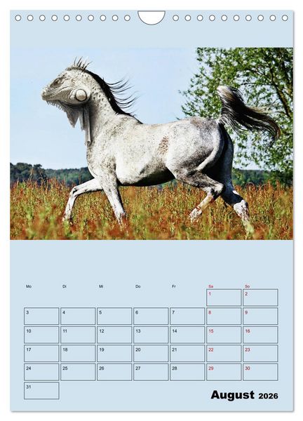 Produktbild: Seltsame Tiere - da stimmt doch was nicht... (Wandkalender 2026 DIN A4 hoch), CALVENDO Monatskalender