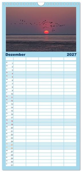 Produktbild: Familienplaner 2027 - V&ouml;gel im Flug - Akrobaten der L&uuml;fte mit 5 Spalten (Wandkalender, 21 x 45 cm) CALVENDO