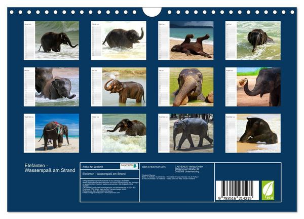 Produktbild: Elefanten - Wasserspa&szlig; am Strand (Wandkalender 2026 DIN A4 quer), CALVENDO Monatskalender