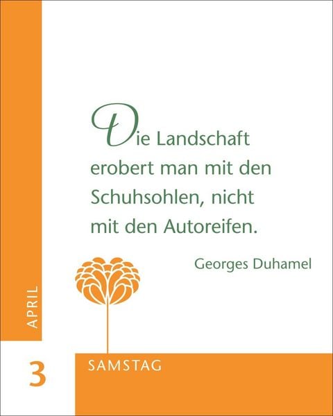 Produktbild: 365 gute Gedanken Mini-Geschenkkalender 2027