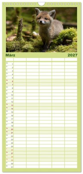 Produktbild: Familienplaner 2027 - Bei den Jungf&uuml;chsen mit 5 Spalten (Wandkalender, 21 x 45 cm) CALVENDO