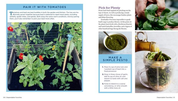Produktbild: GrowVeg