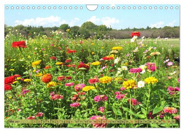Produktbild: Die Natur Japans (Wandkalender 2027 DIN A4 quer), CALVENDO Monatskalender