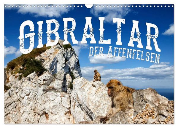 Produktbild: Gibraltar - der Affenfelsen (Wandkalender 2026 DIN A3 quer), CALVENDO Monatskalender