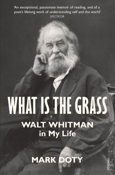 Produktbild: Doty, M: What is the Grass