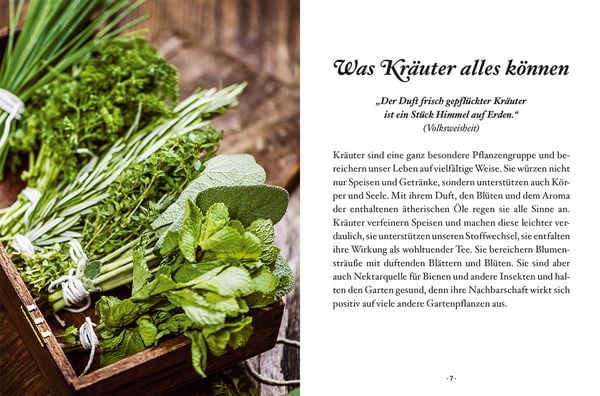 Produktbild: Das kleine Buch: Genusskr&auml;uter