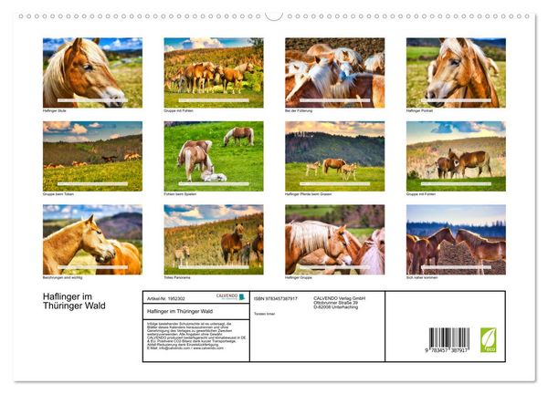 Produktbild: Haflinger im Th&uuml;ringer Wald (hochwertiger Premium Wandkalender 2026 DIN A2 quer), Kunstdruck in Hochglanz