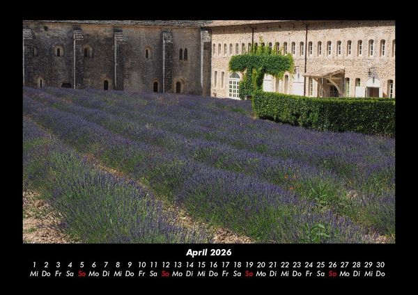 Produktbild: Blumenkalender 2026 Fotokalender DIN A3