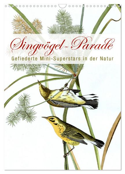 Produktbild: Singv&ouml;gel-Parade (Wandkalender 2026 DIN A3 hoch), CALVENDO Monatskalender