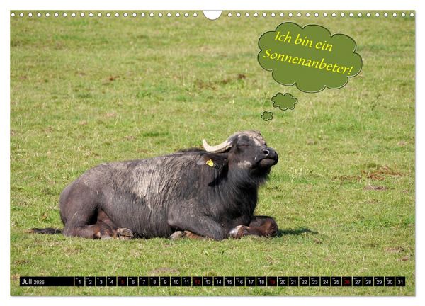 Produktbild: Wenn Tiere sprechen k&ouml;nnten! Der lustige Spr&uuml;che Kalender (Wandkalender 2026 DIN A3 quer), CALVENDO Monatskalender