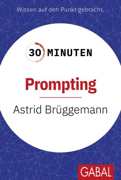 Produktbild: 30 Minuten Prompting