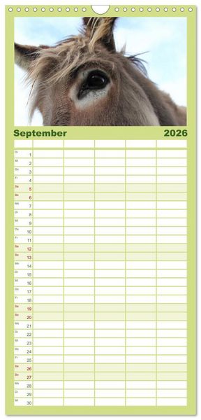 Produktbild: Familienplaner 2026 - Esel - liebenswerte Langohren mit 5 Spalten (Wandkalender, 21 x 45 cm) CALVENDO