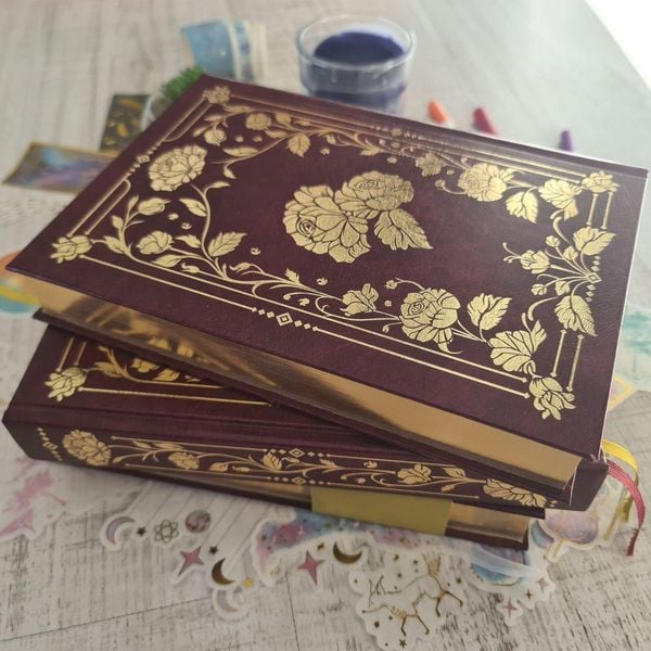 Produktbild: Das Panini Lesejournal