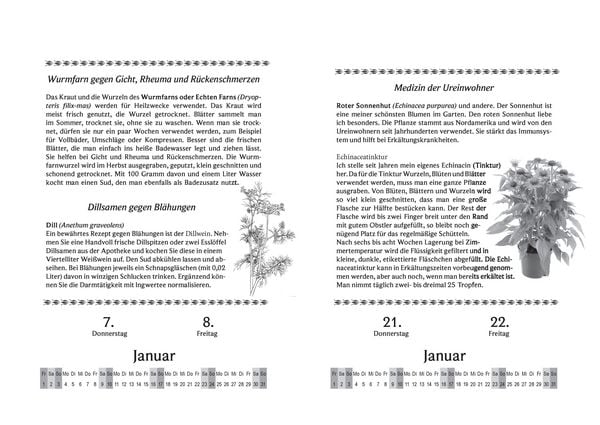 Produktbild: Liesel Malms Kr&auml;uterkalender 2027. Mit der Heilkraft der Natur durchs Jahr