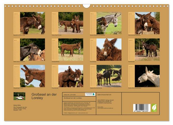 Produktbild: Gro&szlig;esel an der Loreley (Wandkalender 2026 DIN A3 quer), CALVENDO Monatskalender