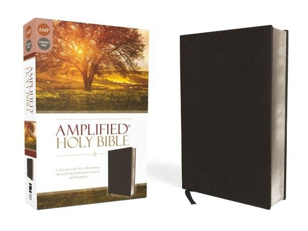 Produktbild: Amplified Bible-Am