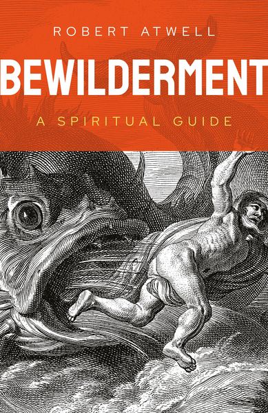 Produktbild: Bewilderment