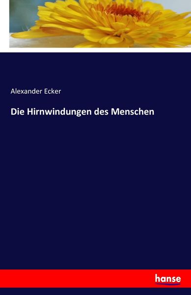 Produktbild: Die Hirnwindungen des Menschen
