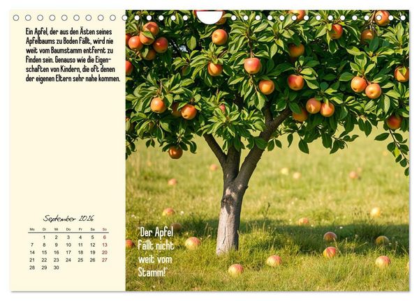 Produktbild: Illustrierte deutsche Redewendungen mit ihrer Bedeutung (Wandkalender 2026 DIN A4 quer), CALVENDO Monatskalender