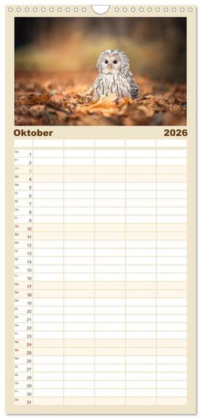 Produktbild: Familienplaner 2026 - Eulen - sch&ouml;n und geheimnisvoll mit 5 Spalten (Wandkalender, 21 x 45 cm) CALVENDO