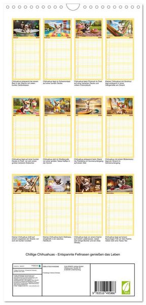 Produktbild: Familienplaner 2026 - Chillige Chihuahuas - Entspannte Fellnasen genie&szlig;en das Leben mit 5 Spalten (Wandkalender, 21 x 45 cm) CALVENDO