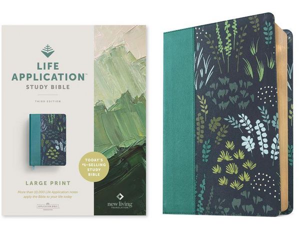 Produktbild: NLT Life Application Study Bible, Third Edition, Large Print (Leatherlike, Meadow Teal, Red Letter)