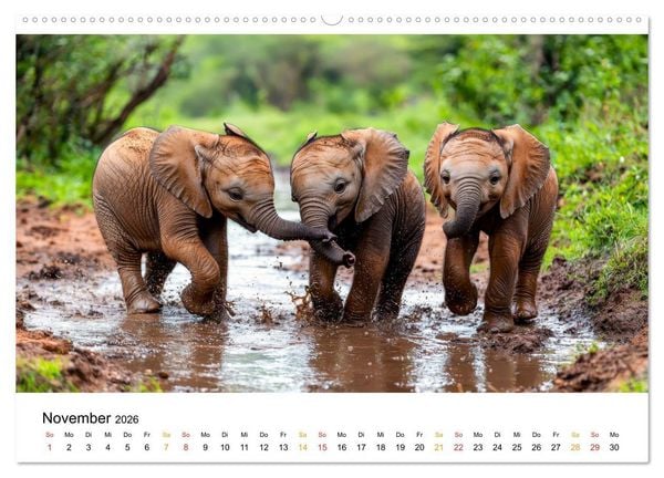 Produktbild: Elefanten Kinder - kleine Riesen (Wandkalender 2026 DIN A2 quer), CALVENDO Monatskalender