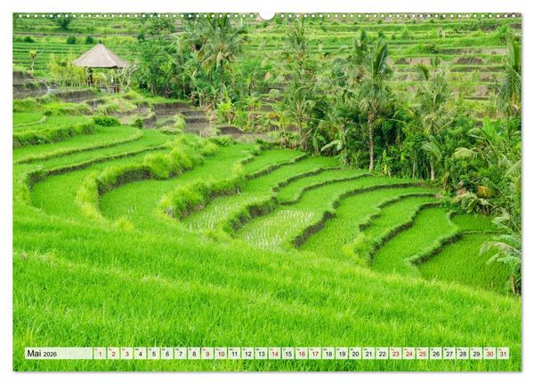 Produktbild: Sehnsucht nach Bali (hochwertiger Premium Wandkalender 2026 DIN A2 quer), Kunstdruck in Hochglanz