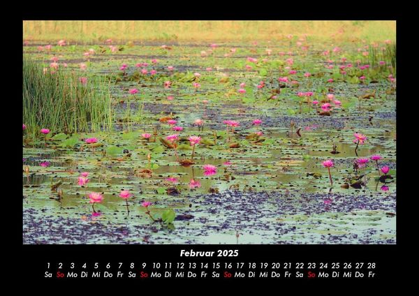 Produktbild: Rosentraum 2025 Fotokalender DIN A3