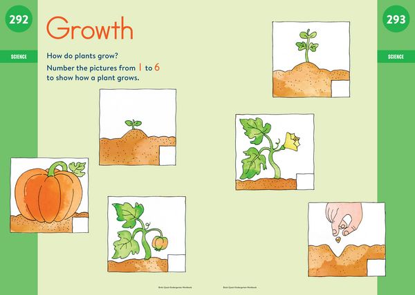 Produktbild: Brain Quest Workbook: Kindergarten Revised Edition