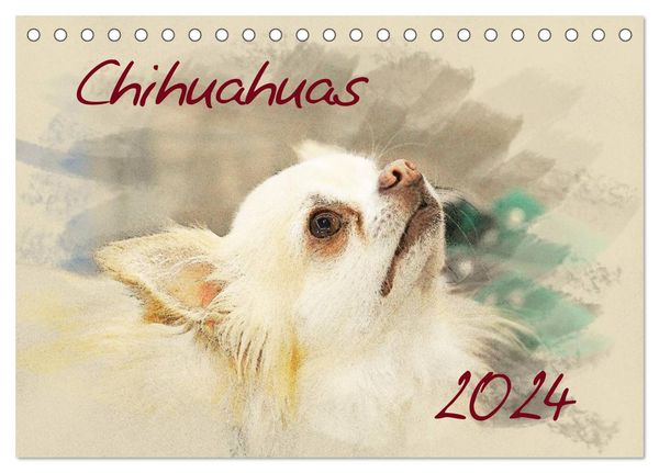 Chihuahuas 2024 (Tischkalender 2024 DIN A5 quer), CALVENDO Monatskalender