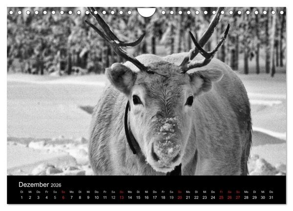Produktbild: Wundersch&ouml;nes Finnland (Wandkalender 2026 DIN A4 quer), CALVENDO Monatskalender