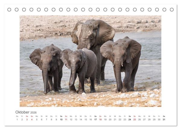 Produktbild: Namibia - unterwegs mit Julia Hahn (Tischkalender 2026 DIN A5 quer), CALVENDO Monatskalender